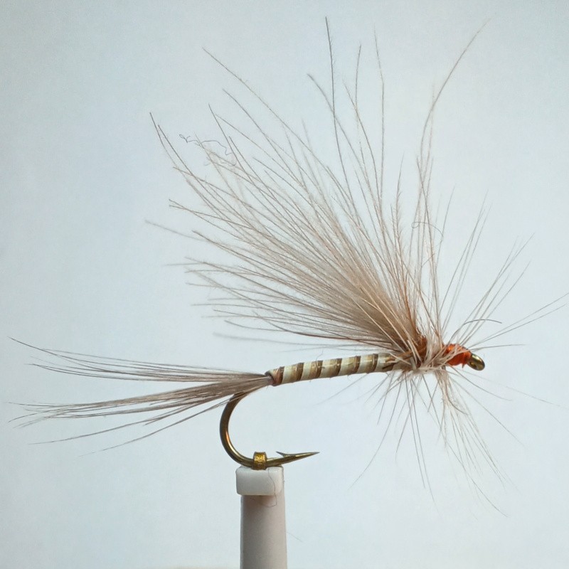 Mouche sèche la Belle série spéciale "RS" Mouche sèche la Belle série spéciale "RS"