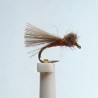 Mouche sèche émergente en CDC série spéciale "RS"