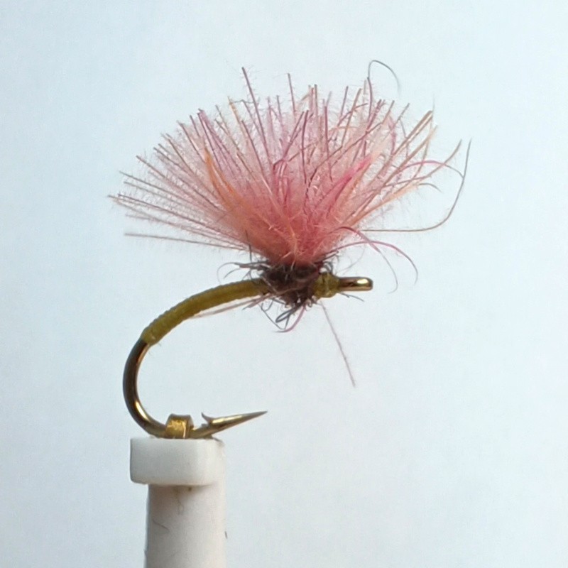 Mouche sèche la Rosette série spéciale "RS" Mouche sèche la Rosette série spéciale "RS"