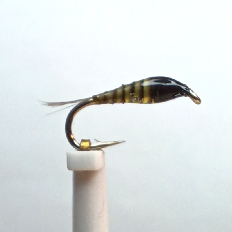 Nymphe en quill olive vernis série spéciale "RS"