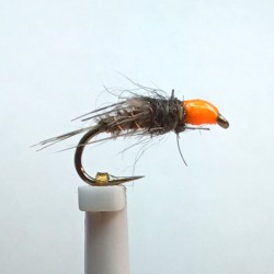 Nymphe ORL avec tête orange fluo série spéciale "RS"