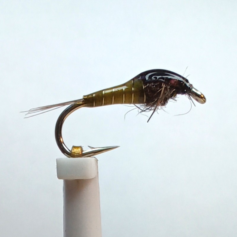 Nymphe l'Olivette série spéciale "RS" Nymphe l'Olivette série spéciale "RS"