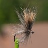 Mouche March Brown la Brune de Mars