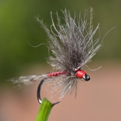Mouche Ecdyonurus rouge