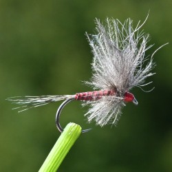 Mouche sèche Ecdyonurus Versus
