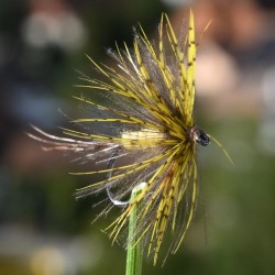 Mouche de mai sèche Ephemera Danica