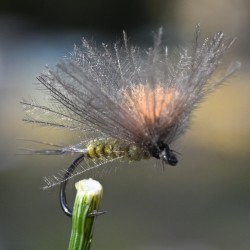 Mouche Parachute CDC olive avec tag orange