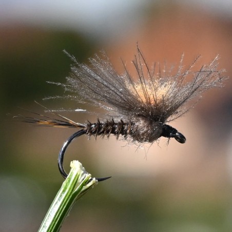 Mouche sèche éphémère imago parachute marron