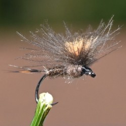 Mouche Parachute CDC marron avec tag orange