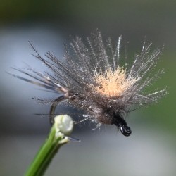 Mouche Parachute CDC marron avec tag orange
