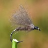 Mouche sèche la Petite Merde