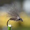 Mouche CDC en croupion de canard