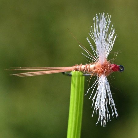 Mouche sèche Red Spinner spent avec ailes à plat