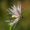 Mouche La Peute jaune