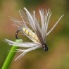 Mouche La Peute jaune