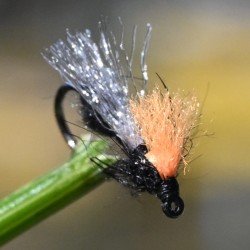 Mouche fourmi volante.