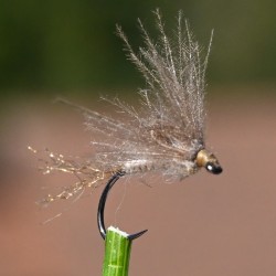 Emergente Gütermann beige avec exuvie