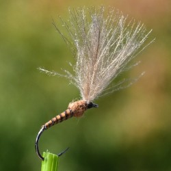 Emergente Shuttlecock marron