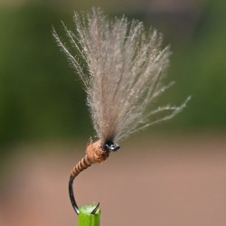 Emergente Shuttlecock marron