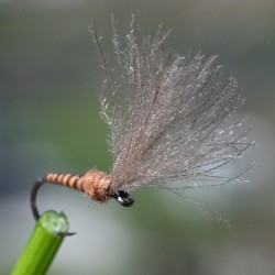 Emergente Shuttlecock marron