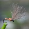 Emergente Shuttlecock marron
