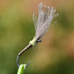 Emergente Shuttlecock olive