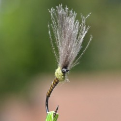 Emergente Shuttlecock olive