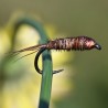 Nymphe Pheasant Tail tête cuivre