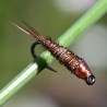 Pheasant tail naturel à tête cuivre