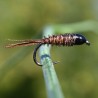 Pheasant tail brune à tête noire