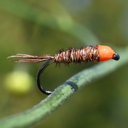Pheasant tail naturel à tête orange fluo.
