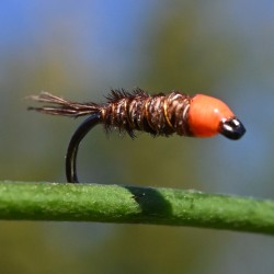 Pheasant tail naturel à tête orange fluo.