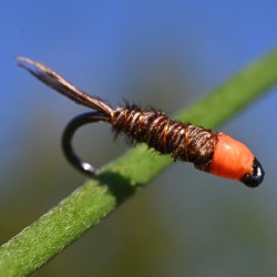 Pheasant tail naturel à tête orange fluo.