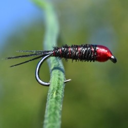 Nymphe Pheasant Tail tête rouge