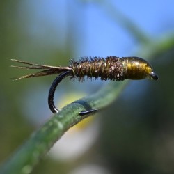 Nymphe Pheasant Tail tête olive