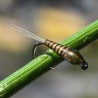 Nymphe Quill olive thorax olive