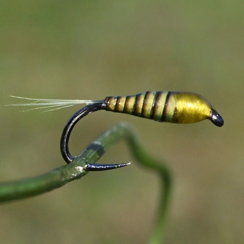 Nymphe en quill de paon jaune Nymphe en quill de paon jaune