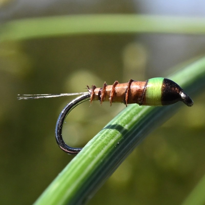 Nymphe en biots d'oie marron clair Nymphe en biots d'oie marron clair