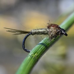 Nymphe d'éphémère Gütermann olive