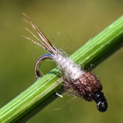 Nymphe Gütermann beige