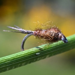 Nymphe d'éphémère Pheasant Tail naturel