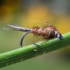Nymphe d'éphémère Pheasant Tail naturel