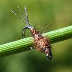 Nymphe d'éphémère Pheasant Tail naturel