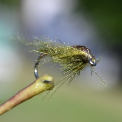 Nymphe en herl d'autruche olive
