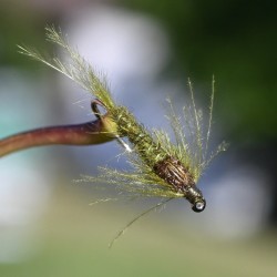 Nymphe en herl d'autruche olive
