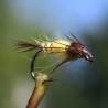 Nymphe de mouche de mai Ephemera Danica