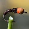 Micro Nymphe naturelle avec bille chocolat
