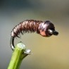 Micro Nymphe naturelle avec bille chocolat