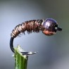 Micro Nymphe Pheasant Tail naturel avec bille cuivre