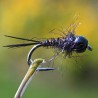 Nymphe Pheasant Tail noir avec bille noir métal